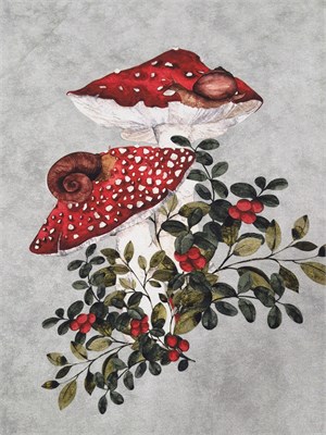 Кулир ГРИБЫ 10689