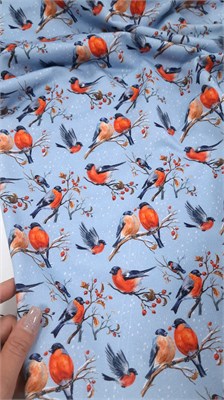 Футер двунитка СНЕГИРИ 10153